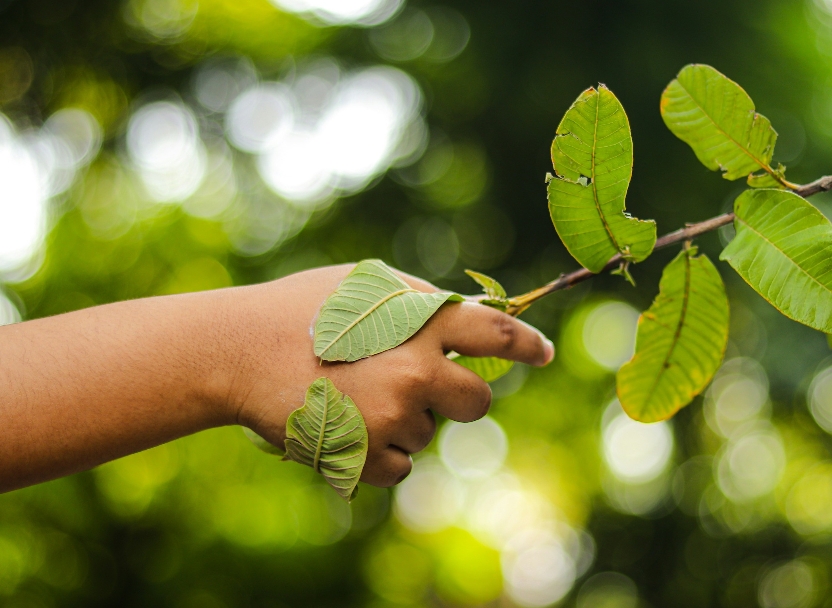 Vorteil der E-Rechnung: Umwelt